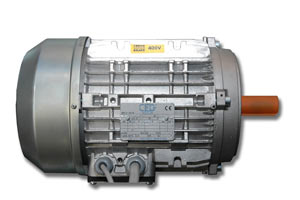 Электродвигатель форматно-раскроечного станка Robland Z-3200