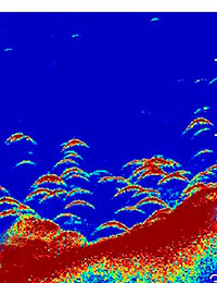 Сонар Garmin CHIRP