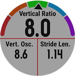 Мультиспортивний годинник Garmin fenix 5S. Вертикальні коливання