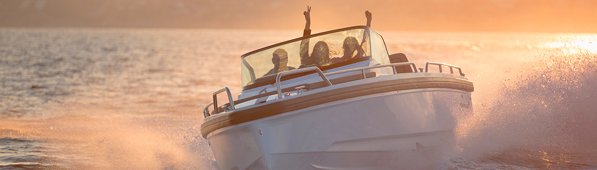 Професійна морська розважальна акустична система