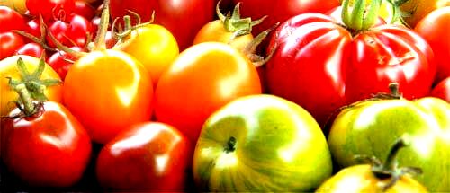 купить удобрение ургаса эмикс компании Арго для выращивания помидор, огурцов, хорошего урожая