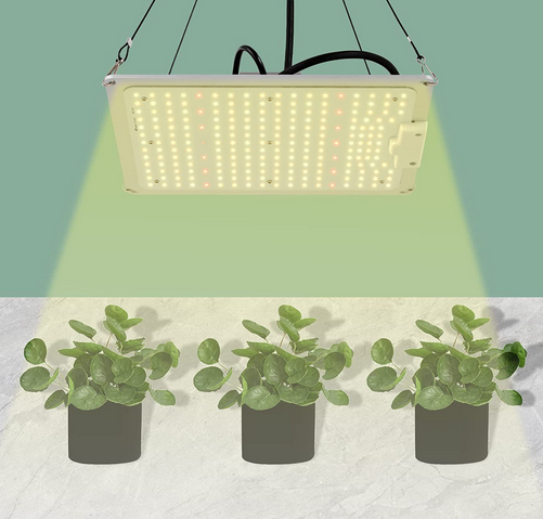 Vollspektrum LED Pflanzenlampe, 220W Grow Lampe Plant Wachsen Licht mit LM301B & Dimmbarem Treiber