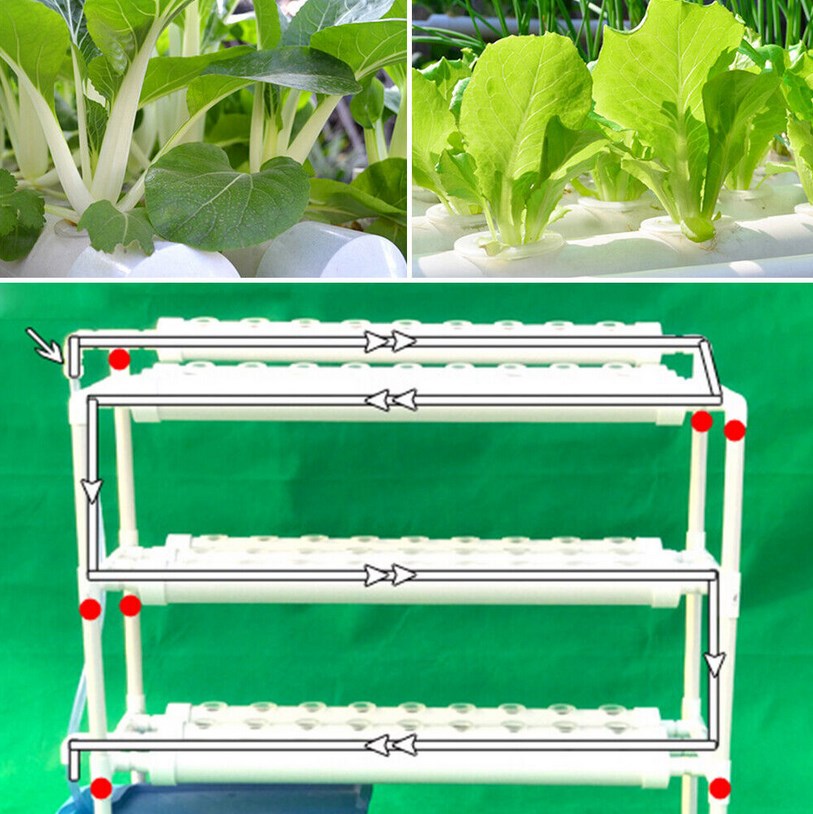 CNCEST Hydroponik Gemüseanbau Kit PVC-Hydroponikrohr-Blattgemüse 90 Standorte 10 Rohre
