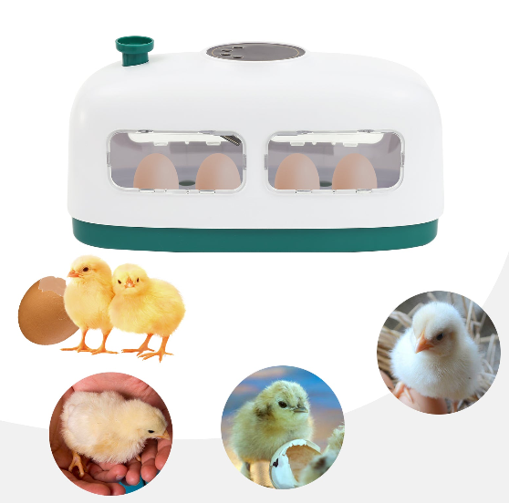 CNCEST Inkubator Temperatur-Feuchtigkeitsregelung Brutmaschine Automatischer Inkubator für Hühnereier mit LED-Leuchten gelb/weiß