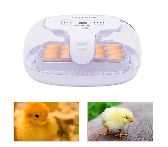Inkubator Kleiner 16 LED Eier Inkubator Hühnerbrutkasten Ei Brutautomat Vollautomatisch Brutmaschine