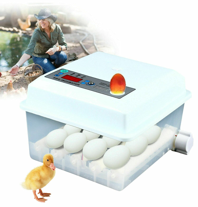 Digital Inkubator, Automatische Inkubator, Brutmaschine für 16 Hühnereier Brutapparat mit Wender