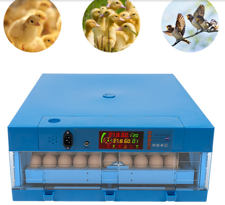 Brutautomat Vollautomatisch,64 Eierinkubatoren Automatische Temperaturregelung,Inkubator mit Automatisches Wenden