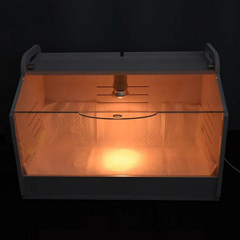 Automatische Küken Aufzucht Box mit Wärme Lampe