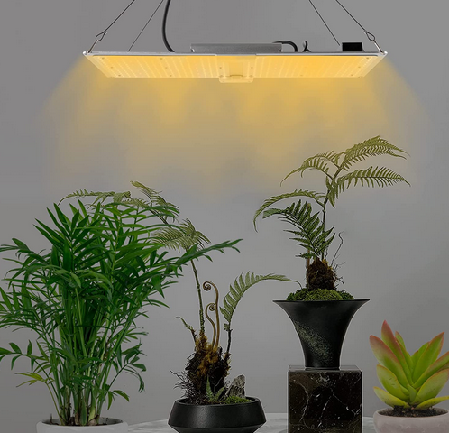 Pflanzenlampe LED Vollspektrum Indoor Grow Light für Zimmerpflanzen, Flower Bloom, Grow Zelt Dimmbar Grow Lampe