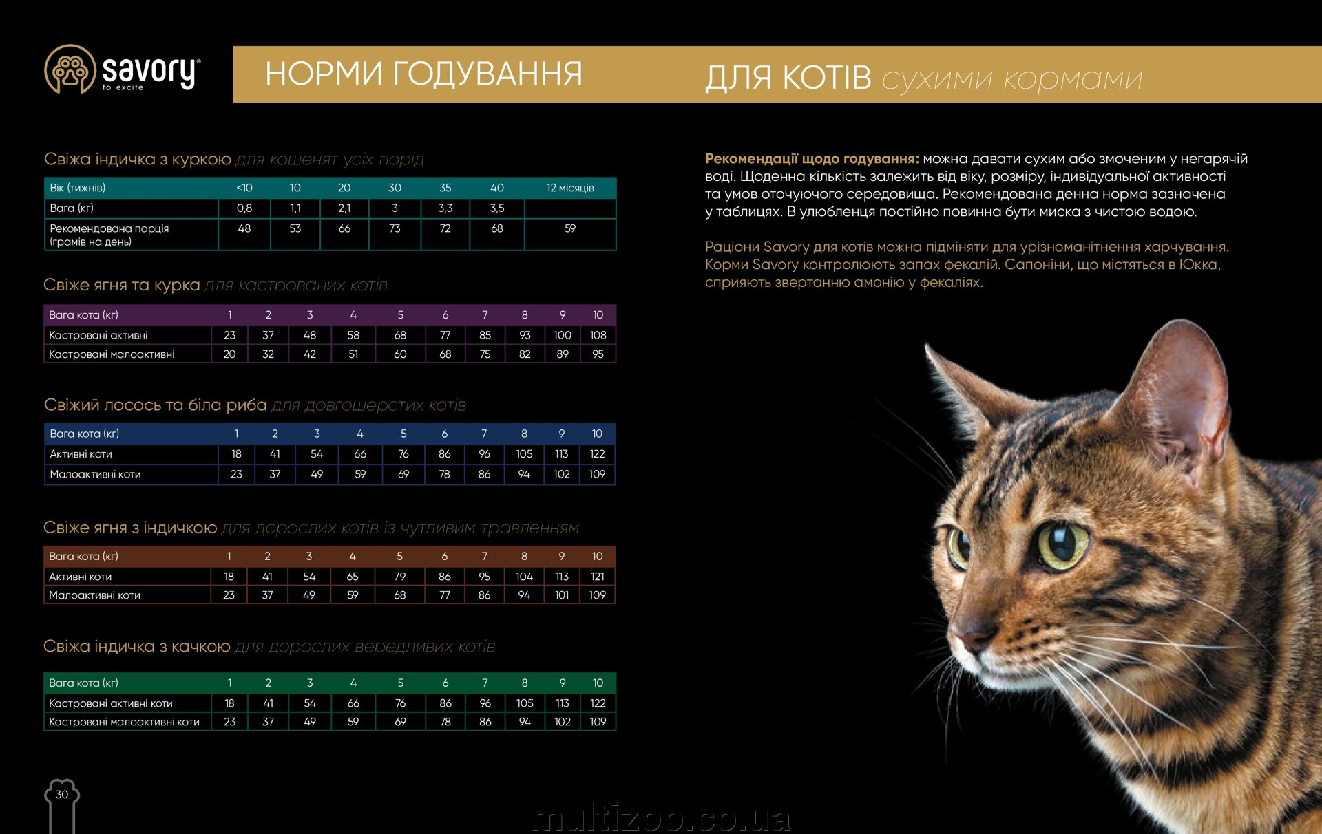 Новинка кормів класу holistic для котів та собак Savory - фото pic_f307406cc25175b290f054ba0250f649_1920x9000_1.jpg