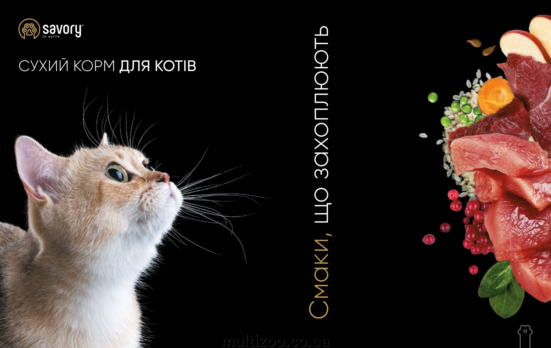 Новинка кормів класу holistic для котів та собак Savory - фото pic_826a22d50d1733ca9f956ebc83325cb5_1920x9000_1.jpg