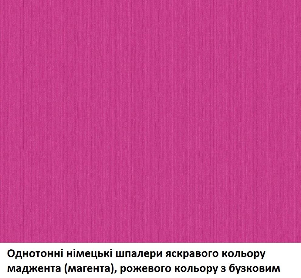 Однотонні німецькі шпалери, яскравого кольору маджента або фуксія, насиченого рожевого з бузковим відтінком, вінілові на флізеліновій основі