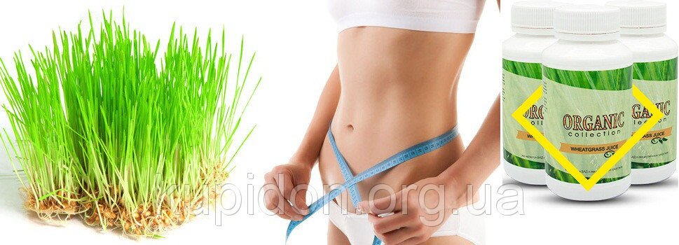 Wheatgrass - средство для похудения из ростков пшеницы от Organic Collection (Витграсс)