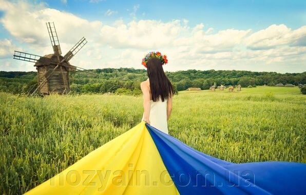 З Днем Незалежності України! - фото pic_359081b1b57f259_700x3000_1.jpg
