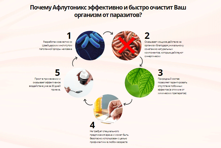 Схема лечения от паразитов в организме человека
