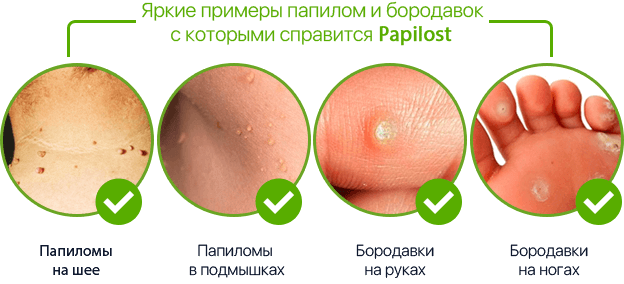 pic_c2a507b4634616d_700x3000_1.png