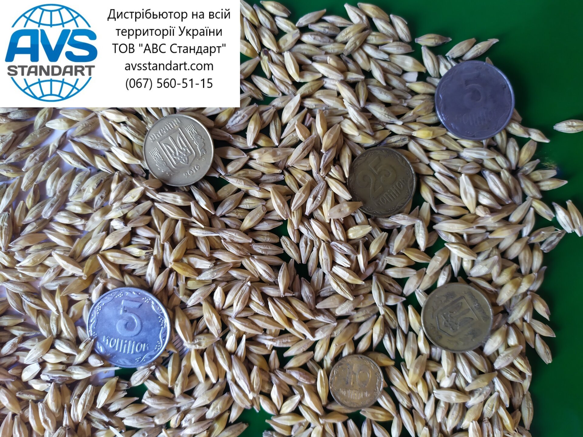 Семена озимого ячменя Селена Стар Элита. Зимо-засухоустойчивый с урожайностью 75ц/га, шестирядный ячмень Селена Стар. - фото pic_ae68eebda355ece544d0d2daa535206e_1920x9000_1.jpg