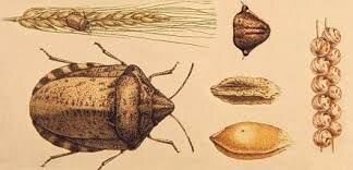 Фумігант для ообробки Зерносховищ Ангарів від шкідників. Димова шашка Генератор. Площа 260 - 520М3 - фото pic_d238727c35d7978_700x3000_1.jpg