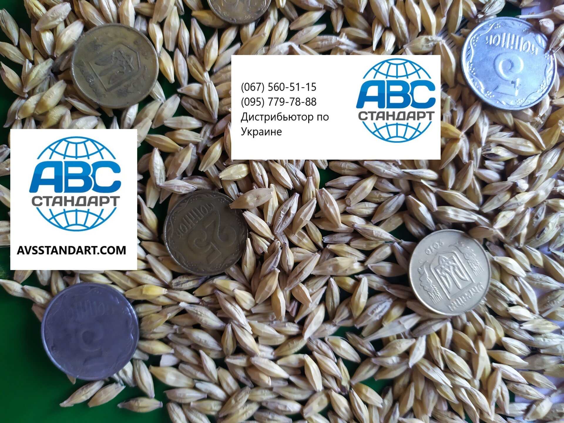 Семена озимого ячменя Селена Стар Элита. Зимо-засухоустойчивый с урожайностью 75ц/га, шестирядный ячмень Селена Стар. - фото pic_191b4f9966d2fd45c063bde0effc9288_1920x9000_1.jpg