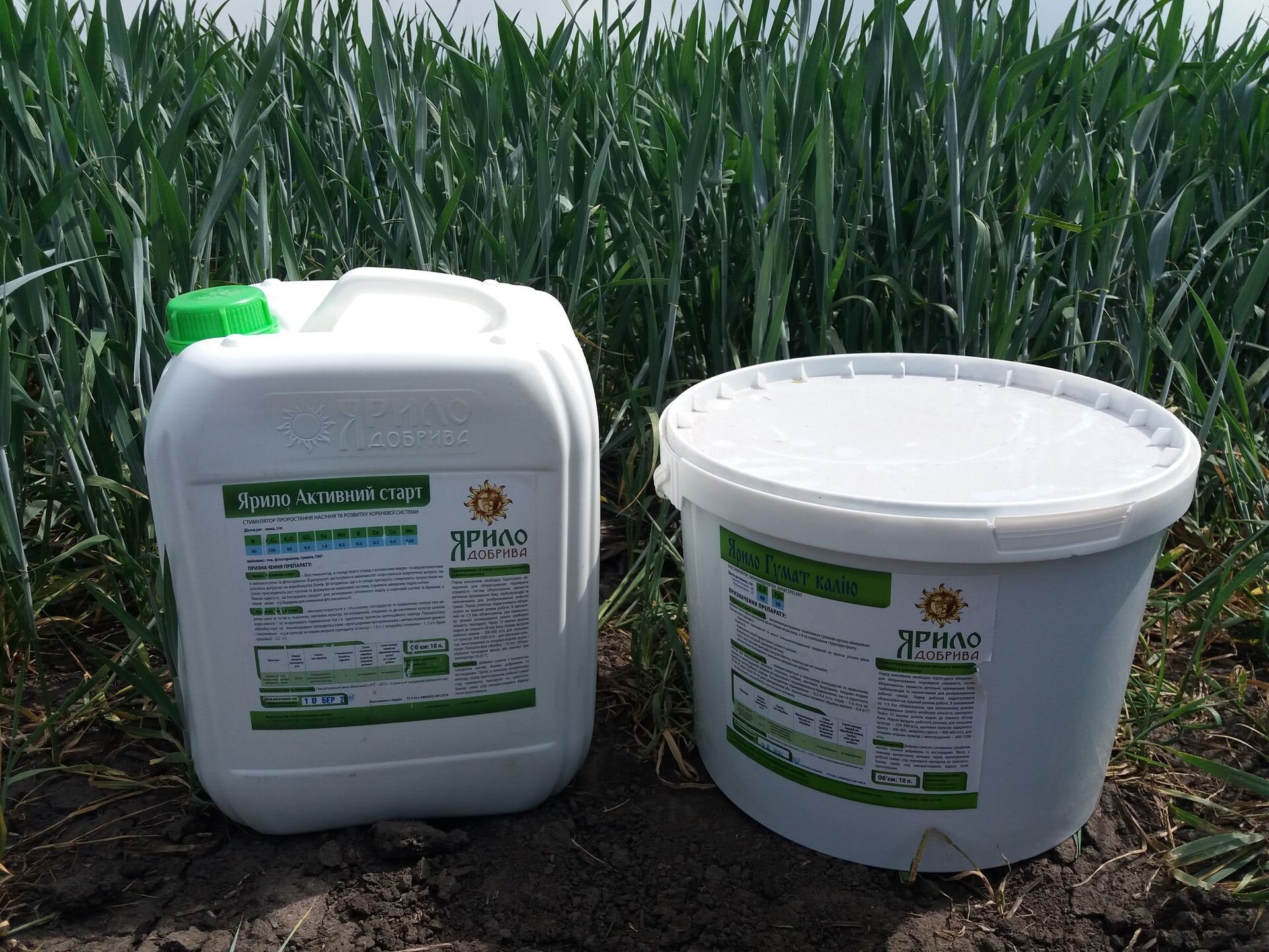 Удобрения для зерновых культур. Химпрополка пшеницы. Подкормка зерновых. Удобрения в сельском хозяйстве. Схема защиты озимого рапса.