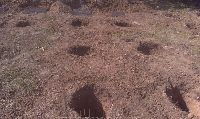 Бурение под фундамент на сваях Полтава, Полтавская область, Украина - фото pic_41bac08704c4a84_700x3000_1.jpg