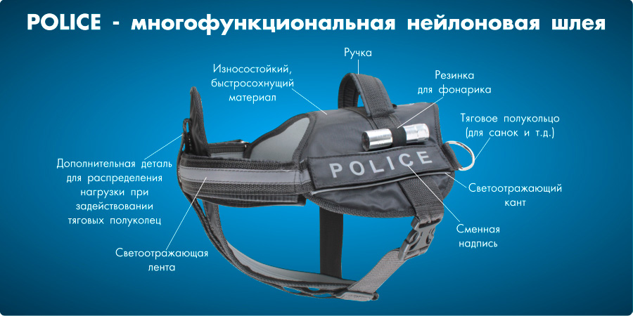 police-1.jpg