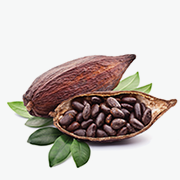 nu-skin-nu-colour-bioadaptive-bb-foundation-cacao-ingredient.png