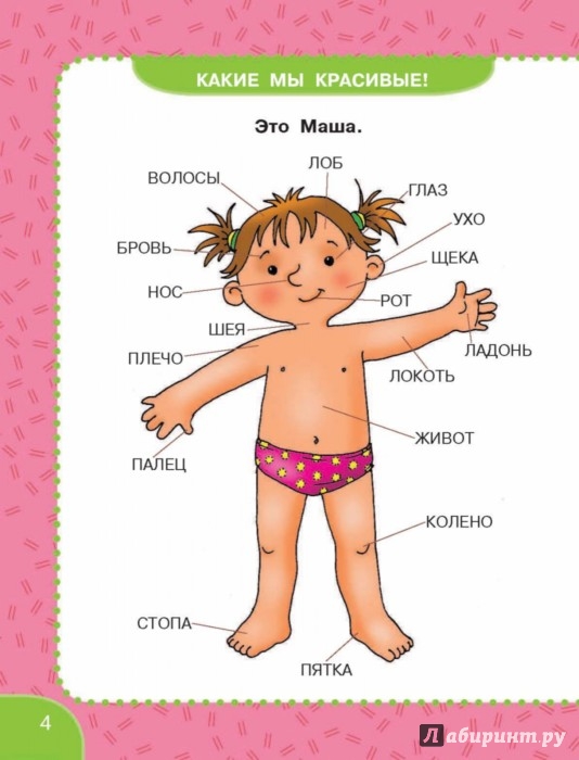 Иллюстрация 4 из 54 для Первый учебник девочки от 6 месяцев до 3 лет - В. Дмитриева | Лабиринт - книги. Источник: Лабиринт