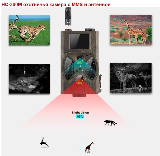 suntek300m45.jpg