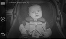 Garmin babyCam. Функція нічного бачення